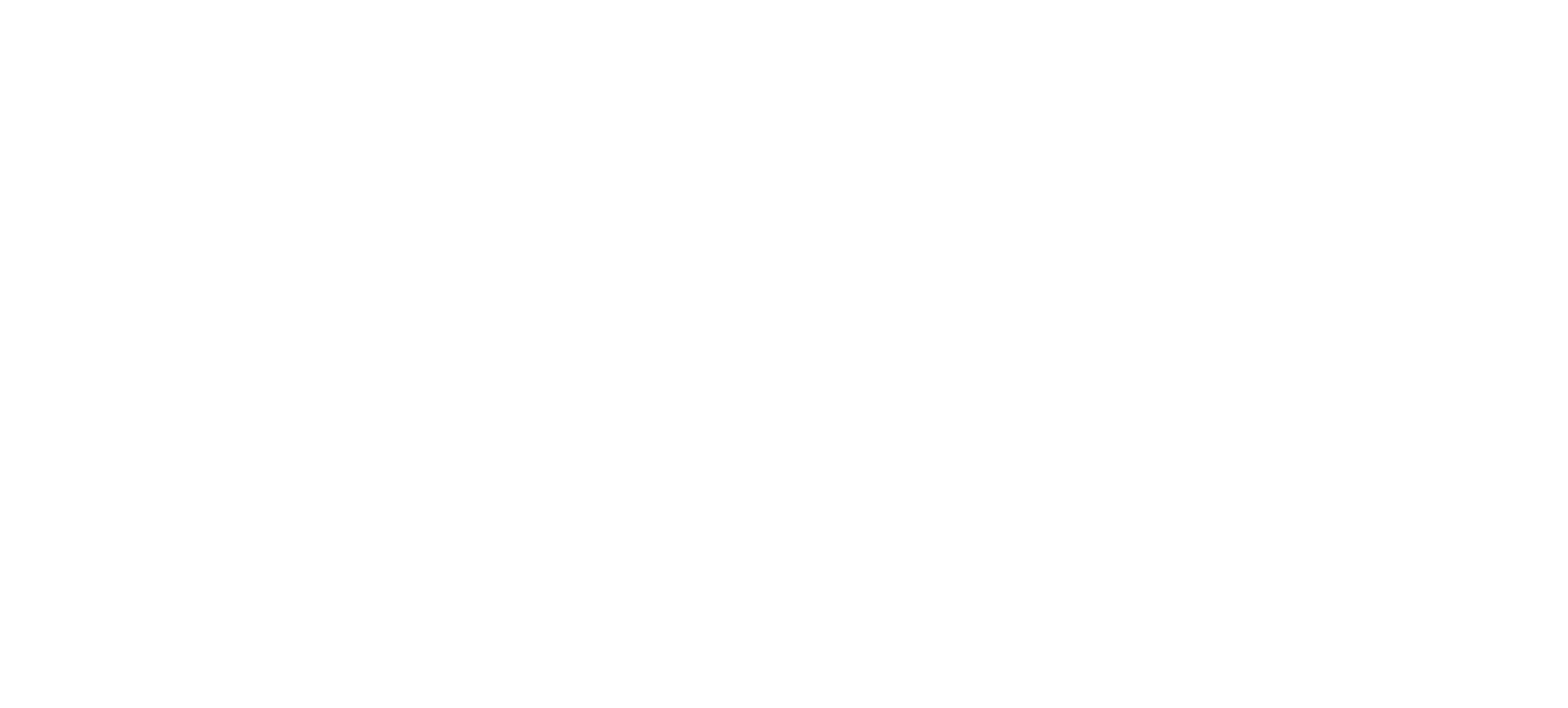Porenesia Logo White