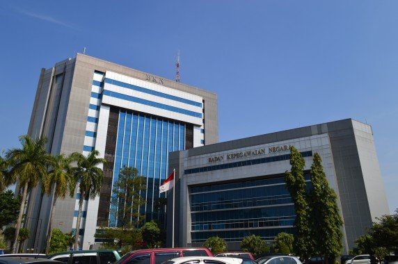 Badan Kepegawaian Negara