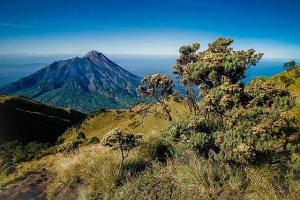 Gunung Merbabu