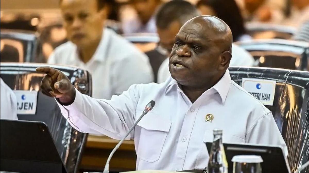 Natalius Pigai, Menteri Hak Asasi Manusia