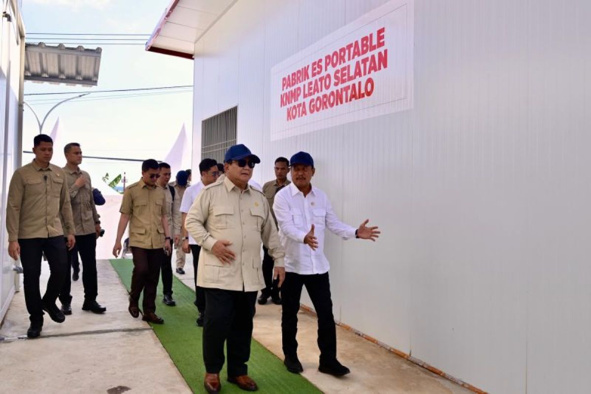 Kunjungan Presiden Prabowo