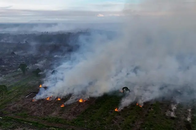 Kebakaran Hutan Aceh