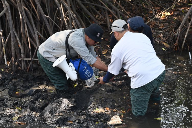 Peserta Bimbingan Teknis Inventarisasi Hutan Nasional (IHN) 2.0 yang diselenggarakan Kementerian Kehutanan di Yogyakarta.
