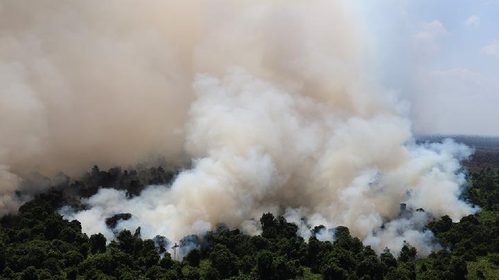 Asap tebal membumbung tinggi dari kebakaran hutan dan lahan (karhutla) gambut di Kabupaten Kayong Utara, Kalimantan Barat, 31 Juli 2026. Guna memantau sebaran titik api, BPBD Provinsi Kalimantan Barat bersama instansi terkait mengintensifkan patroli udara menggunakan helikopter Bell 206L4 milik BNPB ber-registrasi PK-FBI di atas wilayah Kabupaten Kubu Raya, Kayong Utara, dan Ketapang.